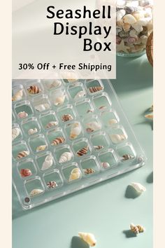 the seashell display box is 30 % off + free shipping