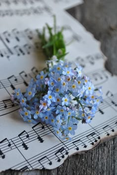 some blue flowers are laying on sheet music