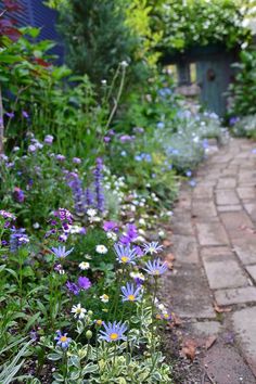 the garden is full of colorful flowers and plants, including wildflowers in bloom