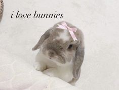 a small bunny sitting on top of a bed next to a basket with a pink bow