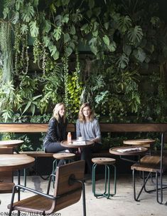 two women sitting at wooden tables in front of a green wall with plants on it