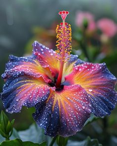 a purple flower with water droplets on it