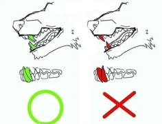 how to draw an alligator step by step instructions for kids and beginners with pictures