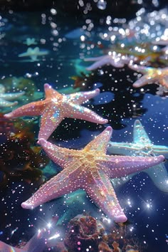 several starfishs floating in the water with bubbles and stars on their back side