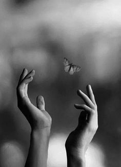 two hands reaching for a butterfly in front of a quote from syrior on nature