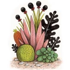 an illustration of flowers and plants on the ground