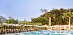 an outdoor swimming pool with lounge chairs and umbrellas