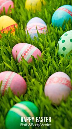 colorful painted easter eggs in the grass