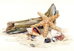 watercolor painting of starfish and seashells on the beach