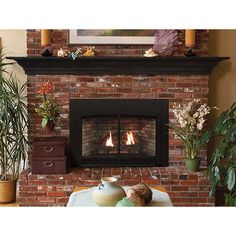 a living room with a fire place and potted plants on the coffee table in front of it