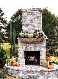 an outdoor fireplace surrounded by cacti and pumpkins