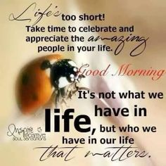 a ladybug sitting on top of a white sheet with the words, life is too short take time to celebrate and appreciate the amazing people in your life