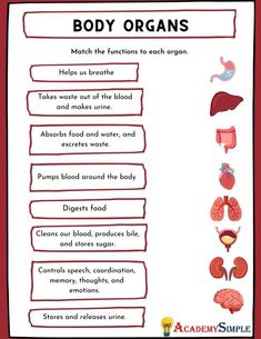 the body organs and their functions are labeled in this poster