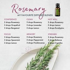 Rosemary diffuser blends Rosemary Diffuser Blends, Doterra Rosemary, Doterra Oils Recipes, My Home Office, Essential Oil Mixes, Essential Oil Benefits, Essential Oil Diffuser Blends, Oil Mix, Doterra Oils