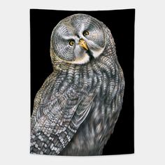 an owl sitting on top of a wooden table next to a black background with yellow eyes