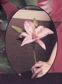 a person holding a pink flower in front of a mirror with the reflection of a woman's hand