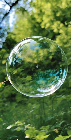 a soap bubble floating in the air over green leaves and trees with sunlight shining on it