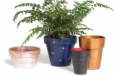 there are four pots with plants in them