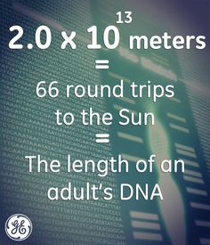 a poster with the words, 20 x 10 meters = 66 round trips to the sun = the length of an adult's dna