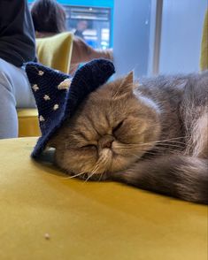 a cat laying on top of a table with a hat on it's head