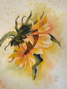 a watercolor painting of a sunflower with yellow and orange petals on white paper