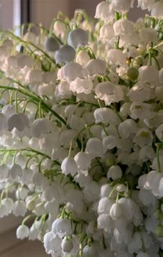 a bouquet of white flowers sitting on top of a window sill next to a mirror