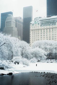 the city is covered in snow and birds are on the ground next to it,