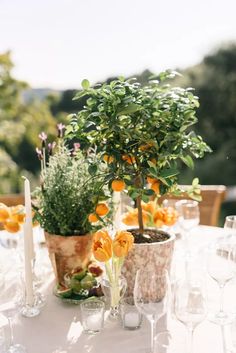 an outdoor table is set with oranges and wine glasses for the guests to enjoy