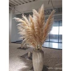 a plant in a vase sitting on the floor next to a wall and window sill