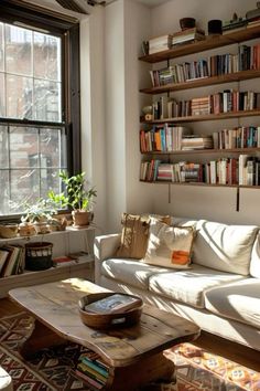 a living room filled with furniture and bookshelves next to a window covered in sunlight