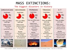 four different types of mass extinguisions the biggest distatters in history