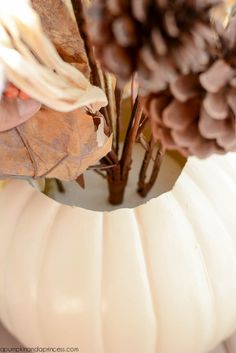 two white pumpkins and some brown pine cones