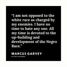 a black and white quote with the words i am not opposed to the white race as charged