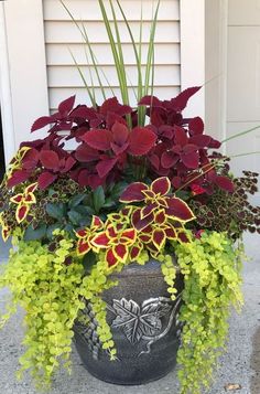 a planter filled with flowers and greenery sitting on the ground in front of a door