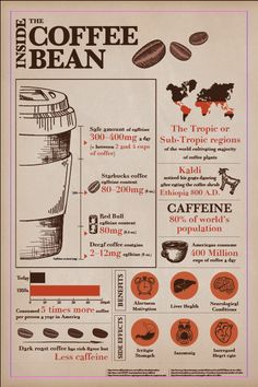 the coffee bean info sheet is shown