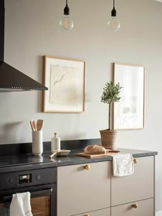 a kitchen with two pictures hanging on the wall and a potted plant in the middle