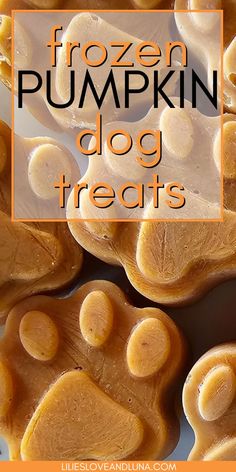 Paw shaped frozen pumpkin dog treats with text overlay that reads frozen pumpkin dog treats. Pure Pumpkin Dog Treats, Frozen Pumpkin Treats For Dogs, Pumpkin And Yogurt Dog Treats, Golden Retriever Food Recipes, How To Make Dog Biscuits, Pumpkin Frozen Dog Treats, Pumpkin Dog Recipes, Dog Biscuits Homemade Pumpkin, Diy Dog Treats For Joints