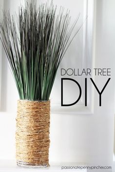 a vase with some grass in it and the words dollar tree diy