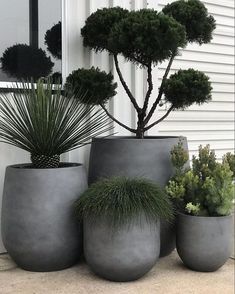 three cement planters with plants in them sitting on the ground next to a house