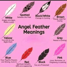 a poster with different types of feathers and words on the back of it, including angel feather meaningss