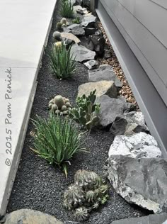 some plants and rocks in front of a house