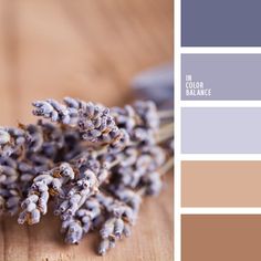 a bunch of lavenders sitting on top of a wooden table with color swatches