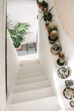 there are many succulents on the wall next to the stairs in this house