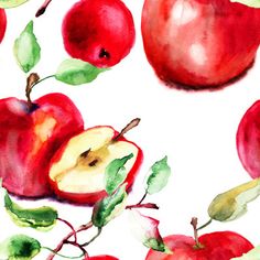 watercolor painting of apples and leaves on white background