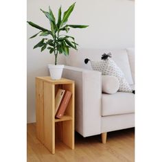 a potted plant sitting on top of a wooden shelf next to a white couch