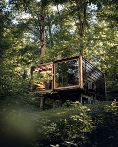 a small cabin in the woods surrounded by trees and bushes, with its windows open