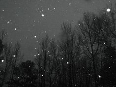 the night sky is filled with snow and trees