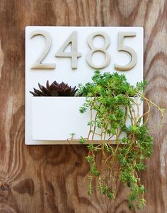 a house number sign with plants growing in it