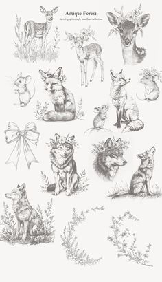 an image of animals that are drawn in pencil and ink with the words antelope forest on it