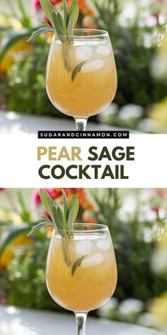 two glasses filled with pear sage cocktail and garnished with rosemary sprigs